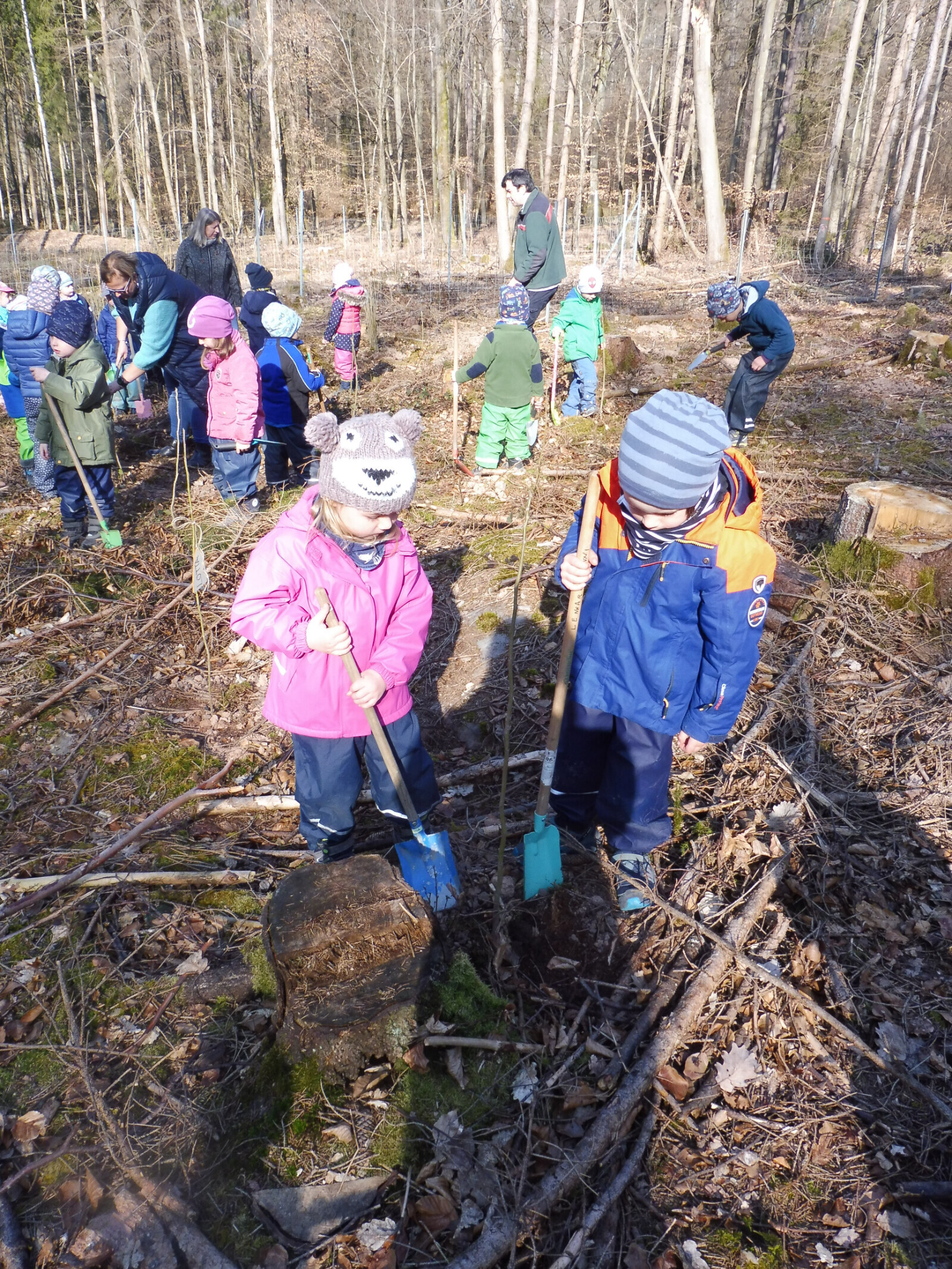 Ein eigener Baum im Wald für jedes Röttbacher Kindergartenkind